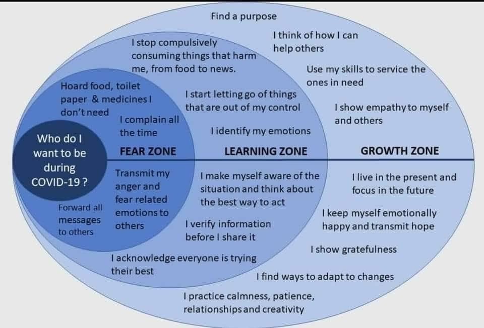 Covid-19 infographic, fear zone, learning zone, growth zone, possible responses to Covid-19 outbreak